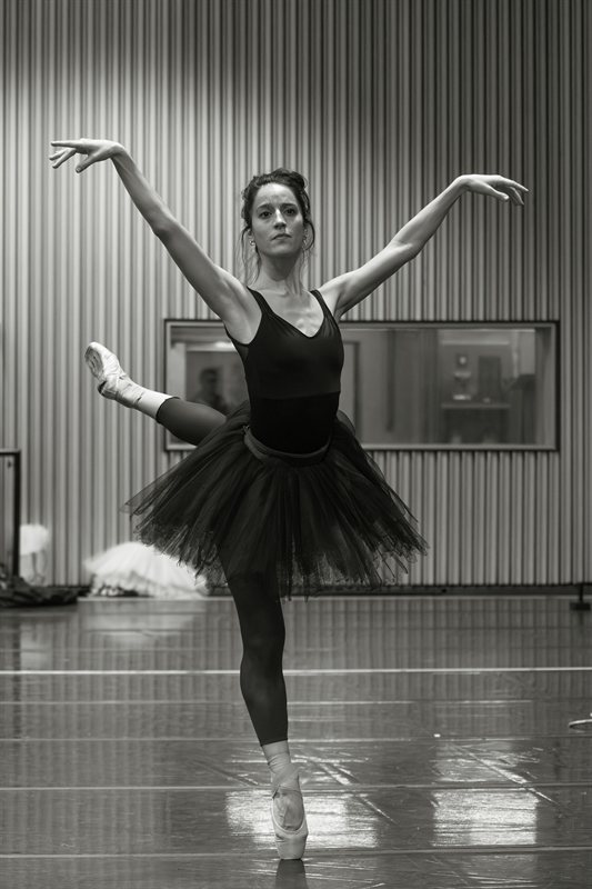 Ensayo