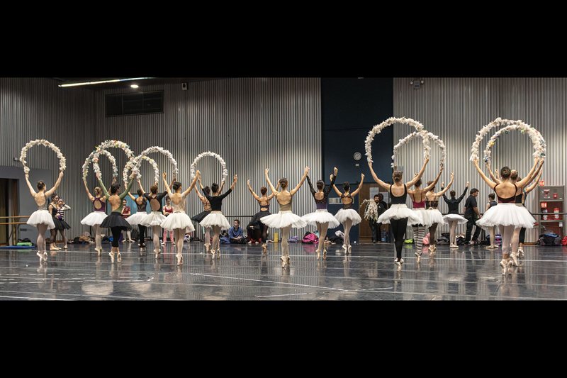 Ensayo