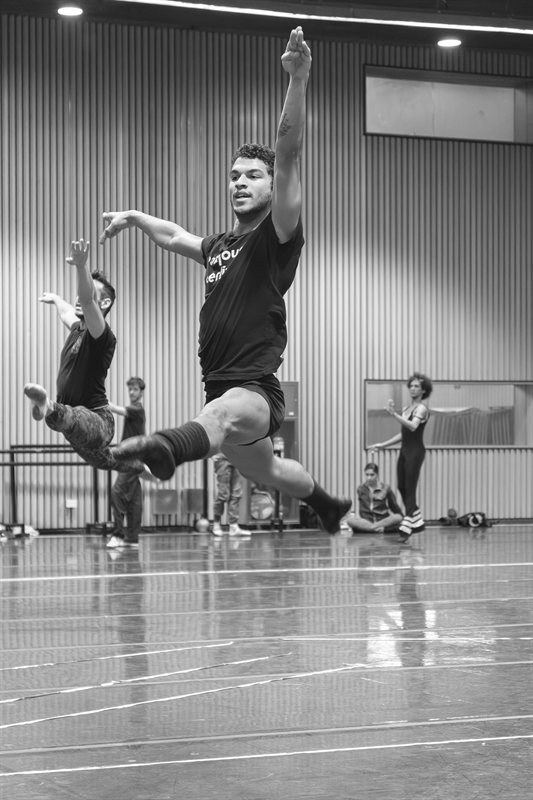 Ensayo